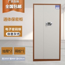 通门保密柜保险柜