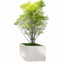 花架